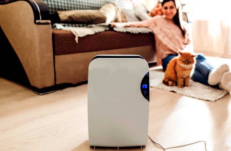 Best quiet dehumidifiers for home